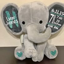 Birth Stat Elephant