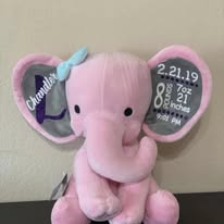 Birth Stat Elephant
